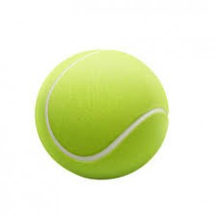 Мячи для большого тенниса 